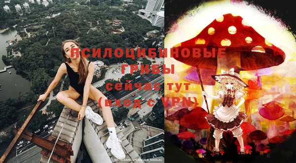 герыч Алексин
