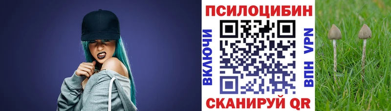 купить закладку Дмитриев Псилоцибиновые грибы мицелий